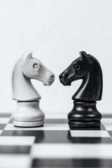 Concept of strategy. Black and white chess knight pieces facing each other