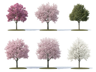 桜の木のデザイン素材｜春の背景・装飾に最適