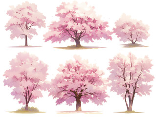 Obraz premium 透過PNG｜春らしい桜の木のイラスト素材セット