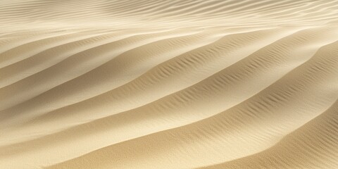 Detailed view of sand dunes showcasing rippled textures, with wind-sculpted patterns creating a dynamic and ever-changing natural landscape.