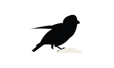 African crimson winged finch bird Silhouette Design  And Vector Illustration. 