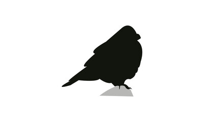African crimson winged finch bird Silhouette Design  And Vector Illustration. 
