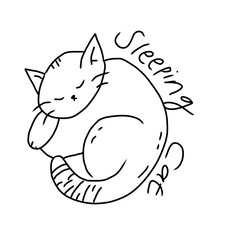 sleeping big cat illustration on white background 