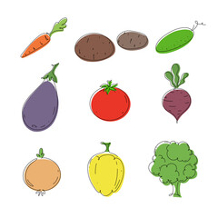 A set of different fresh vegetables. Color illustration, hand-drawn, isolated on white, vector. Graphic simple drawing of healthy, raw, organic food. A delicious bright element for decoration, menu