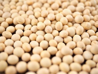 유기농 콩, 음식, 요리재료 