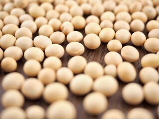 유기농 콩, 음식, 요리재료 