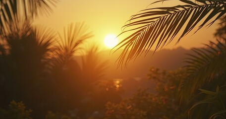 Obraz premium Sunset with Silhouetted Palm Fronds and Lush Greenery