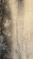 Aged textured wall surface, rustic grunge background, architecture design, vintage stone aesthetic, historical vibe