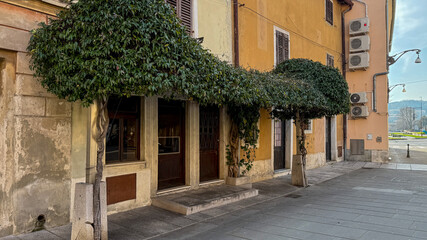 Charming European street facade with ivy-covered doorways, urban exploration, rustic architecture, travel inspiration