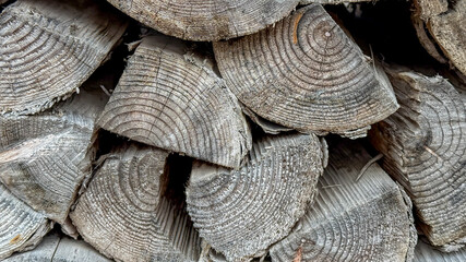 Stacked split firewood with visible rings, rustic winter preparation, sustainable heating resource,...