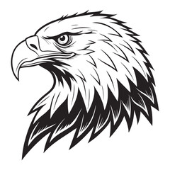 eagle head vector illustration