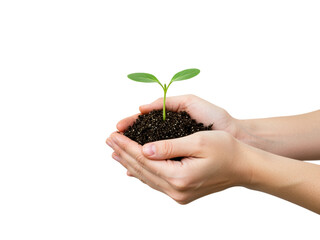 A close-up, studio shot features two hands gently holding a small clump of dark soil with a vibrant green seedling sprouting from it