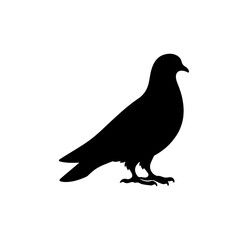 Adobe Ill pigeon silhouette vector icon sign symbol illustration design.Artwork