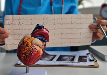 Doctor cardiologist examining electrocardiogram on background of artificial model of heart concept