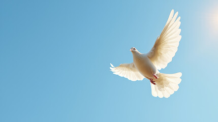 white dove soaring gracefully against clear blue sky, symbolizing peace and freedom