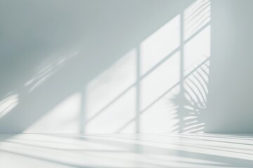 Fototapeta premium Empty White background minimalist interior shadows.