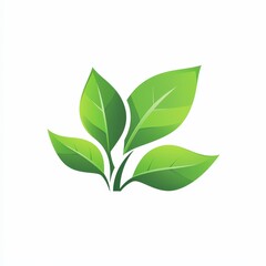 Design of eco green icon logo illustration isolated on white background