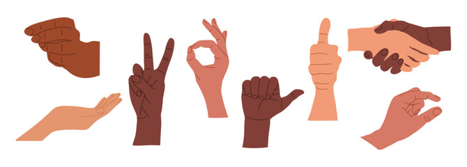 Fototapeta premium Multiracial diverse human hands with different gestures, showing sign ok, okay, victory, thumb up. Vector colorful hand drawn flat illustrations, icons isolated on transparent background.