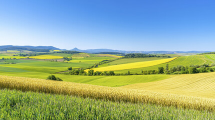 Fototapeta premium Lush green and yellow fields stretch across vibrant landscape under clear blue sky