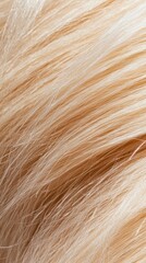Naklejka premium Close-up of soft, light-colored fur texture.