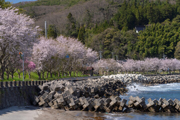 のと鉄道　旧矢波駅