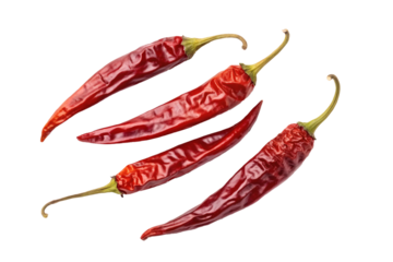 Four dried red chili peppers with wrinkled skin. Spicy food, culinary, seasoning