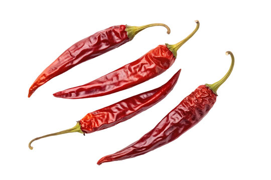 Four dried red chili peppers with wrinkled skin. Spicy food, culinary, seasoning