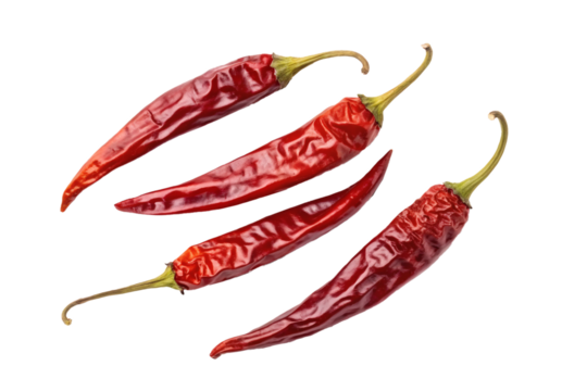 Four dried red chili peppers with wrinkled skin. Spicy food, culinary, seasoning