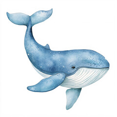 Realistic watercolor whale illustration, marine mammal art, ocean wildlife painting, detailed blue whale on white background, artistic aquatic animal drawing