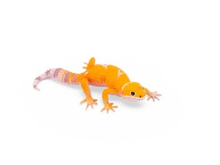 Obraz premium miniature gecko toy with white background
