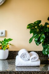 Soft white towels neatly rolled on countertop, complemented by v