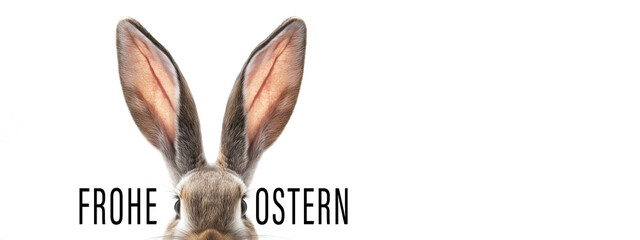 Frohe Ostern Grußkarte, Karte mit deutschem Text - Osterhase, isoliert auf weissem Hintergrund