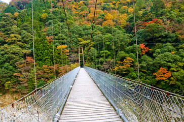 Suspension bridge at the Goboke viewpoint on the Yoshino river, Tokushima prefecture, Shikoku,...