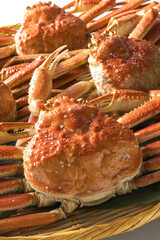 新鮮で美味しいズワイガニ