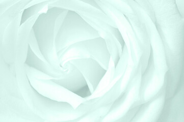 Light Teal Noise and Static Abstract Background for Modern Designs