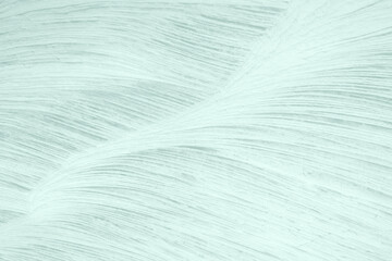 Light Teal Noise and Static Abstract Background for Modern Designs