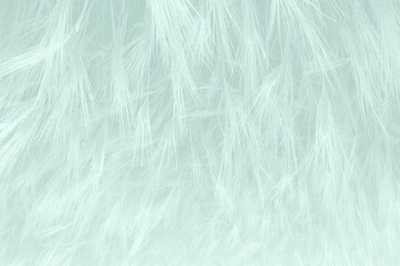 Light Teal Noise and Static Abstract Background for Modern Designs