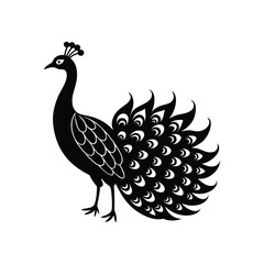 Fototapeta premium vector illustration of a peacock