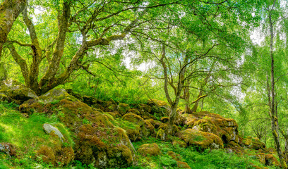 Der atemberaubende Wasserfall Feigefossen in Norwegen - Sognefjord
