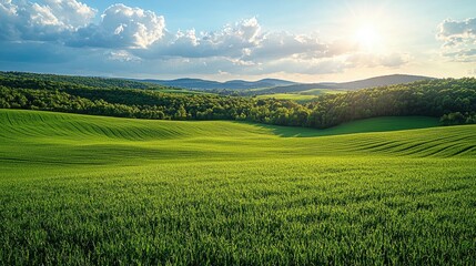 Obraz premium Lush Green Fields Under a Bright Sky with Rolling Hills and Sunlight in the Background