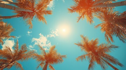 Palm trees swaying under a bright sun with a clear blue sky and scattered clouds above