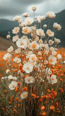 A vibrant field of blooming flowers with white and orange petals under a cloudy sky