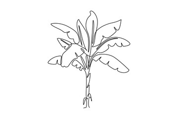 Continuous one line drawing fresh and exotic banana tree logo icon. Decorative banana plant for plantation company. Agriculture cultivation concept. Single line draw design vector graphic illustration
