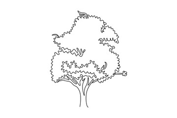 Single continuous line drawing beauty cherry blossom tree for home art wall decor poster. Decorative sakura plant for national park logo. Travel tour. One line draw graphic design vector illustration