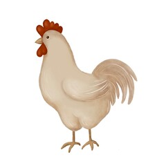Illustration of a brown rooster Isolated object on white background