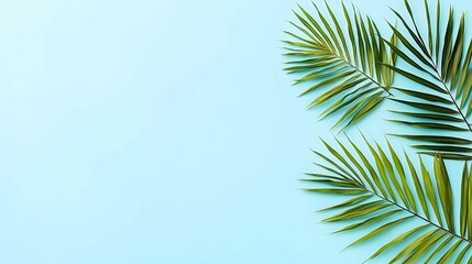 Naklejka premium Vibrant Green Palm Leaves on Light Blue Background