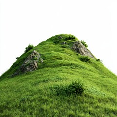 Exploring a lush green hilltop nature's serenity landscape photography outdoor environment aerial view tranquility