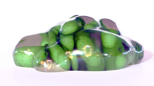 3D rendering, a lumpy mass represents the extracellular polymeric substance or EPS that forms the biofilm's structural matrix and rod-shaped bacteria inside of it.