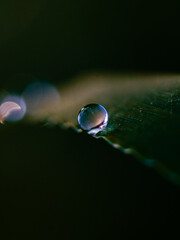 drop of water