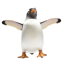 Cute upright penguin with flippers extended, showcasing playful and cheerful expression in a bright, white background setting